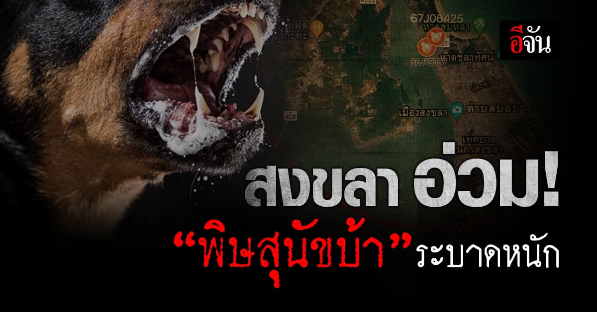 สงขลา อ่วม! “พิษสุนัขบ้า” ระบาดหนัก ผู้ว่าฯ ประกาศเขตเฝ้าระวังโรคระบาด