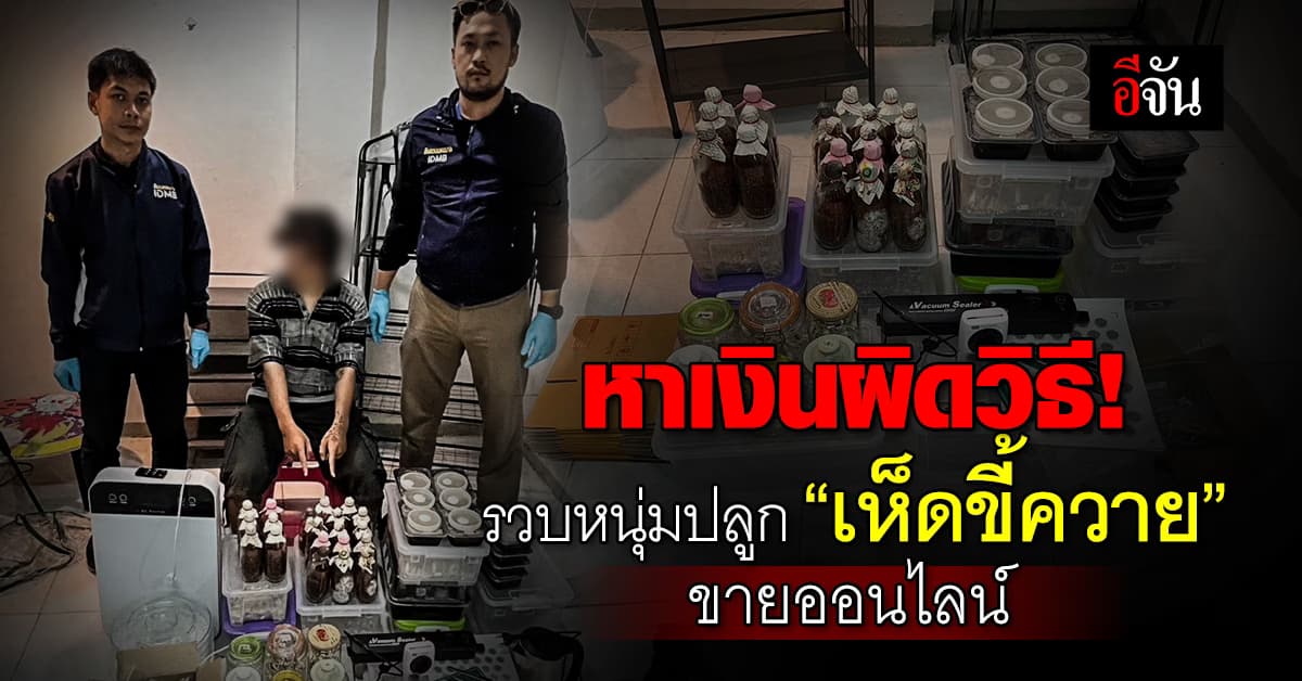 ตร.รวบ “หนุ่มสถาปัตย์” ปลูก “เห็ดขี้ควาย” ในห้องพักขายออนไลน์
