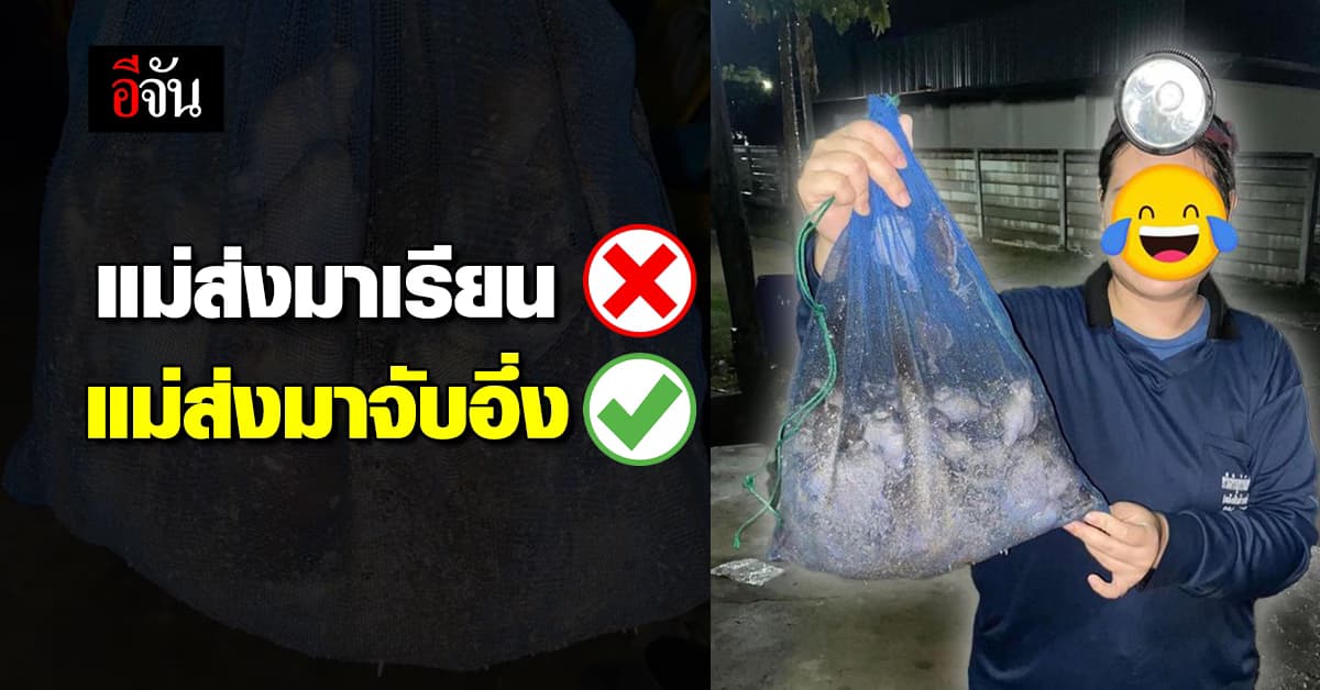 เรียนมหาวิทยาลัยได้อะไรบ้าง? นิสิตโชว์ผลงาน “ไต้อึ่ง” คืนฝนตก