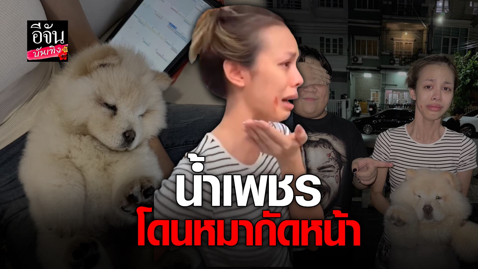 🎬คลิปบันเทิง : น้ำเพชร อิสรีย์ หวิดเสียโฉม โดนหมาเพื่อนสนิดกัดหน้า