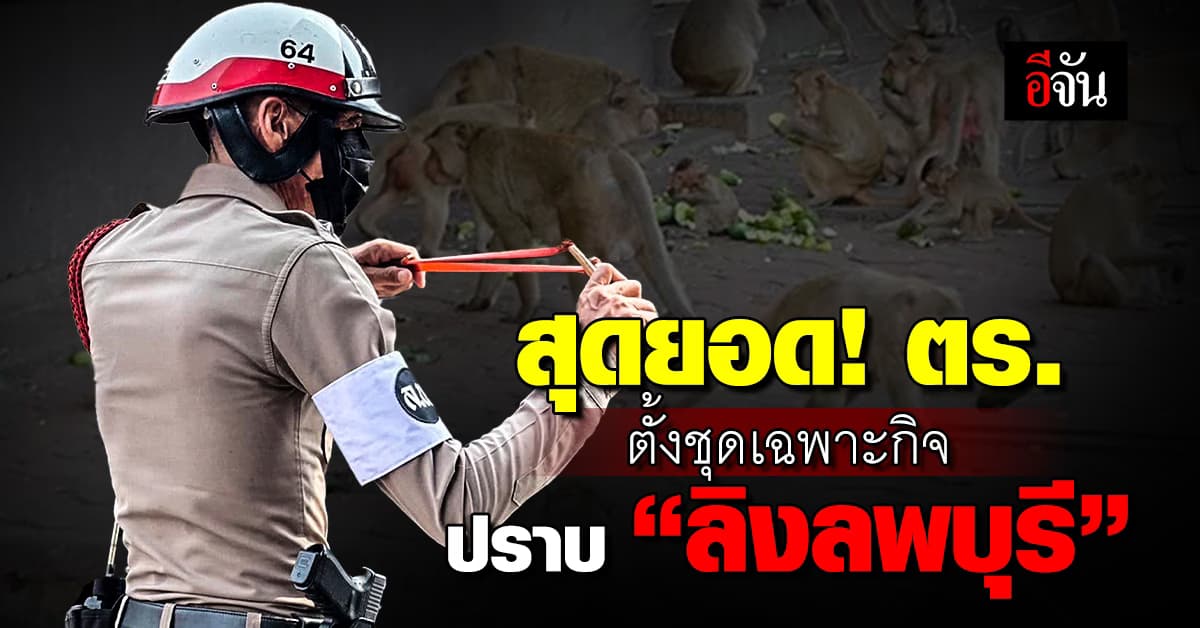 สุดยอด! ตร. ตั้งชุดเฉพาะกิจ ปราบ “ลิงลพบุรี” ด้วยหนังสติ๊ก