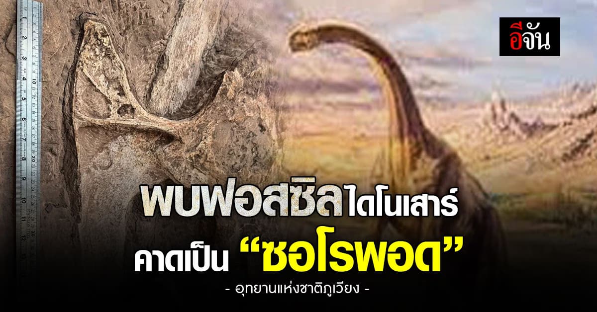 พบ ฟอสซิลไดโนเสาร์ จ.ขอนแก่น รอลุ้นเป็นสายพันธุ์ใหม่ของโลกหรือไม่