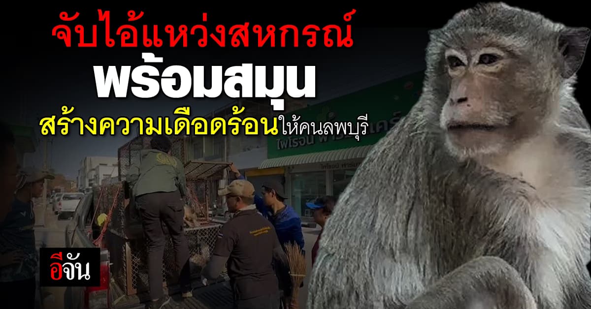 จับไอ้แหว่งสหกรณ์ พร้อมสมุน 3 ตัว สร้างความเดือดร้อนให้คนลพบุรี