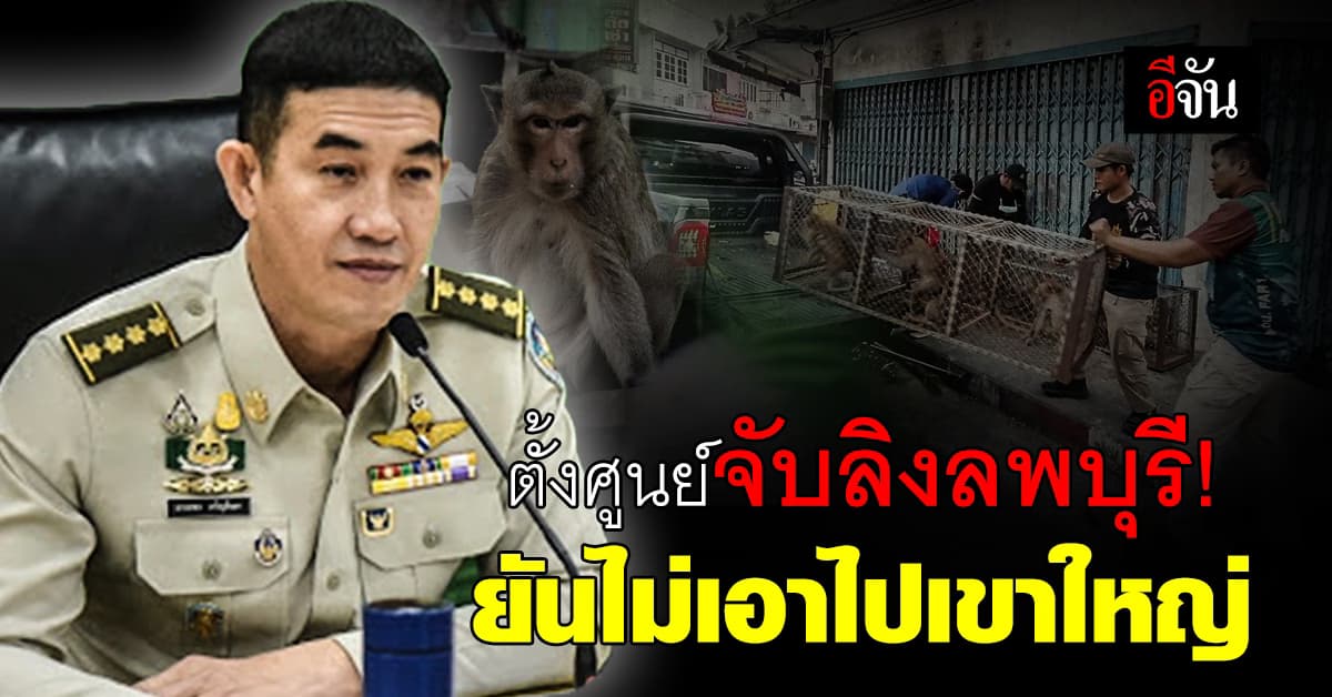 กรมอุทยานแห่งชาติฯ ยืนยัน! ไม่ย้ายลิงลพบุรีไปเขาใหญ่แน่นอน