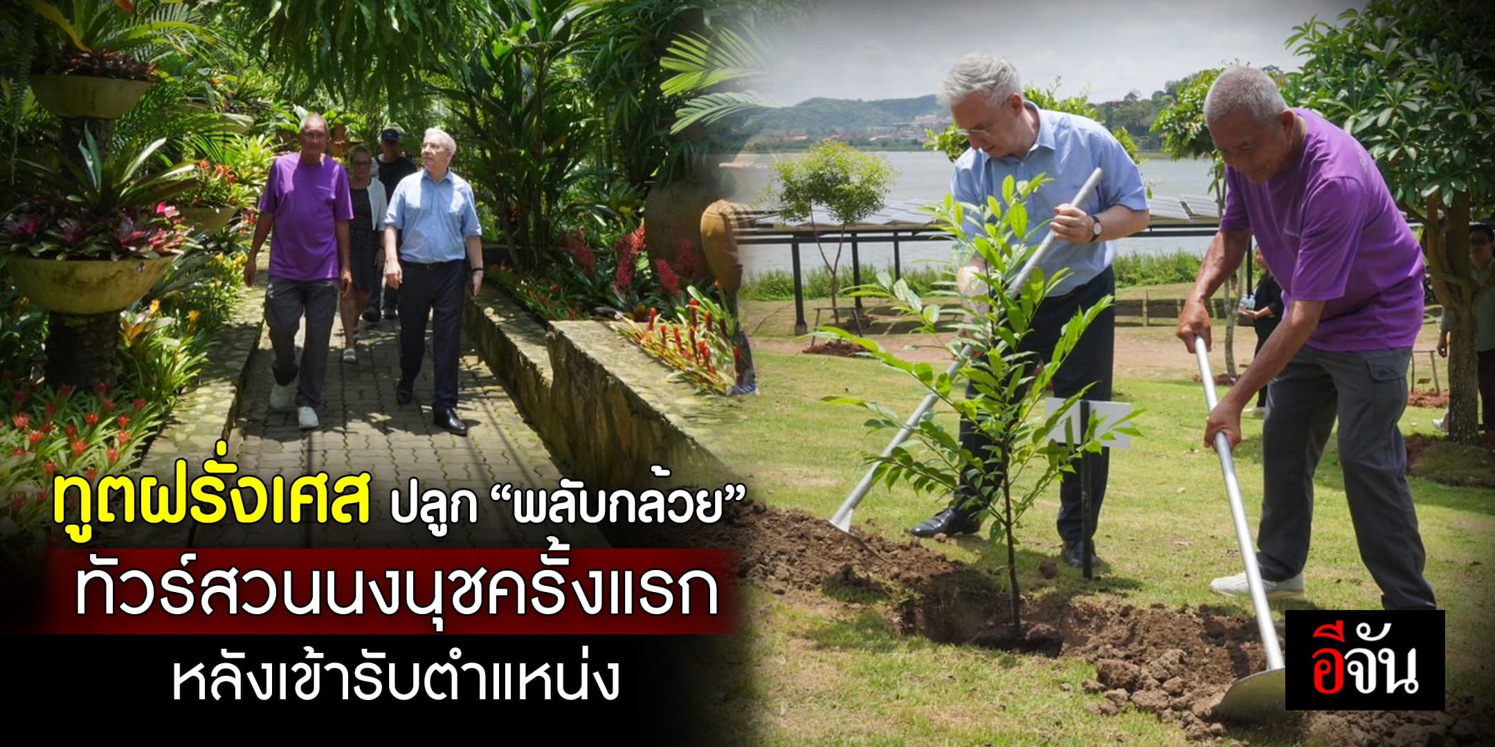 ทูตฝรั่งเศส ร่วมปลูก “พลับกล้วย” ทัวร์สวนนงนุชพัทยา ครั้งแรก หลังเข้ารับตำแหน่ง