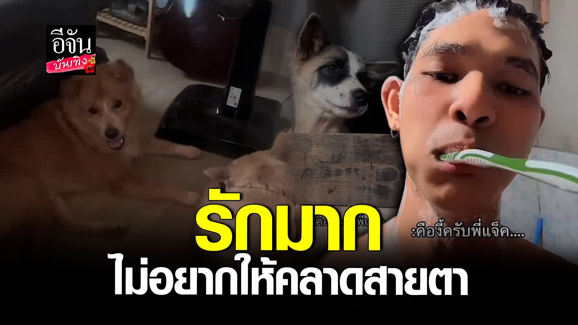 🎬คลิปบันเทิง : มีพลังงานบางอย่าง กำลังมองคุณอาบน้ำ โปรดระวัง…ความน่ารัก