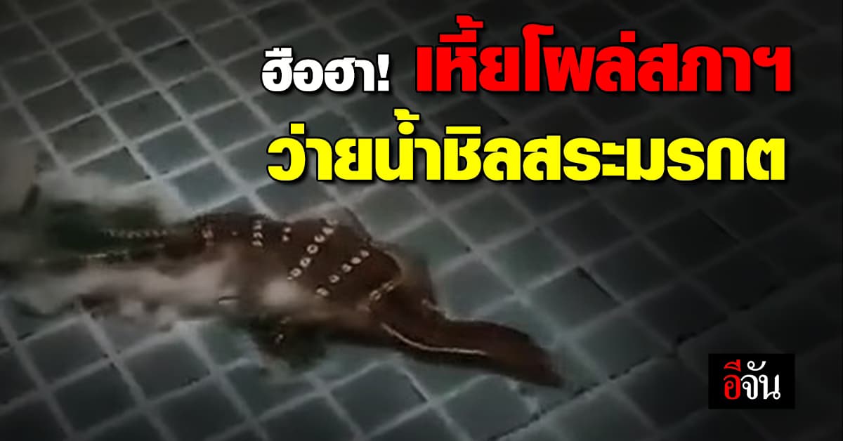 ไทยร้อนระอุ! “ตัวเงินตัวทอง” ทนไม่ไหว โผล่เข้าสภาฯ ว่ายน้ำสระมรกต