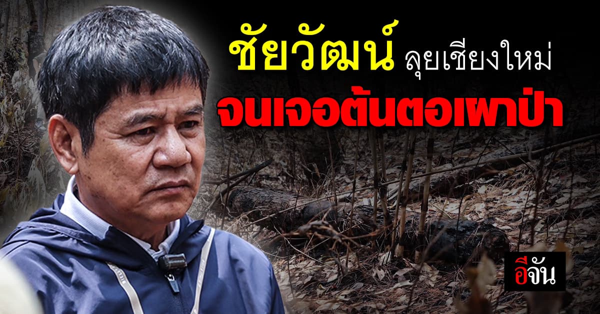 ชัยวัฒน์ ชี้! การเผาป่า มีแรงจูงใจจากการเมือง ตั้งแต่ท้องถิ่นถึงประเทศ