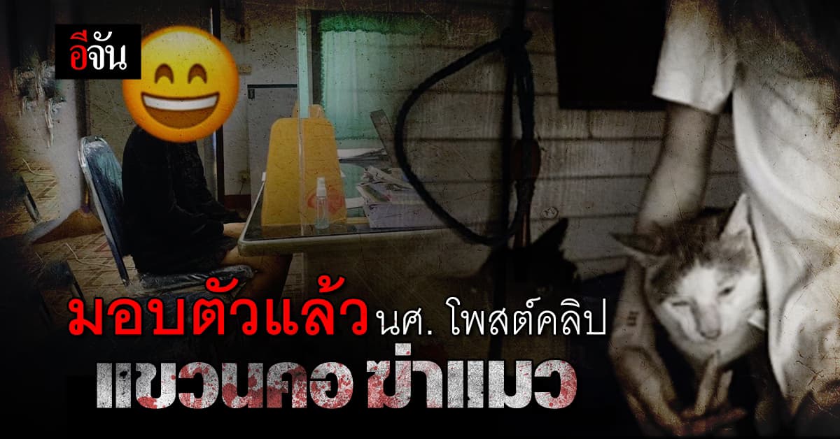 มอบตัวแล้ว นศ. แขวนคอ กรีดท้องแมว ถ่ายคลิปลงโซเชียล