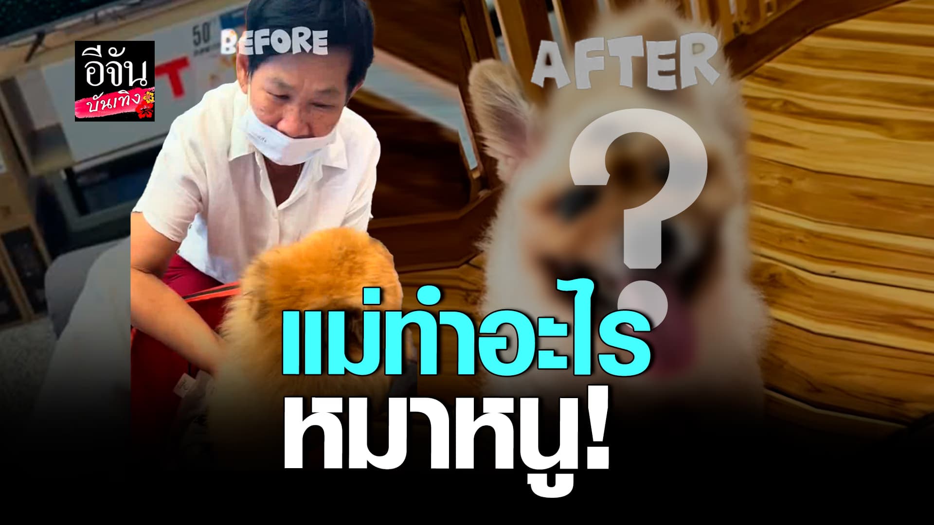 🎬คลิปบันเทิง : นั่นตัวอะไร! สาวร้องเสียงหลง​ แม่ทำอะไรหมาหนู?