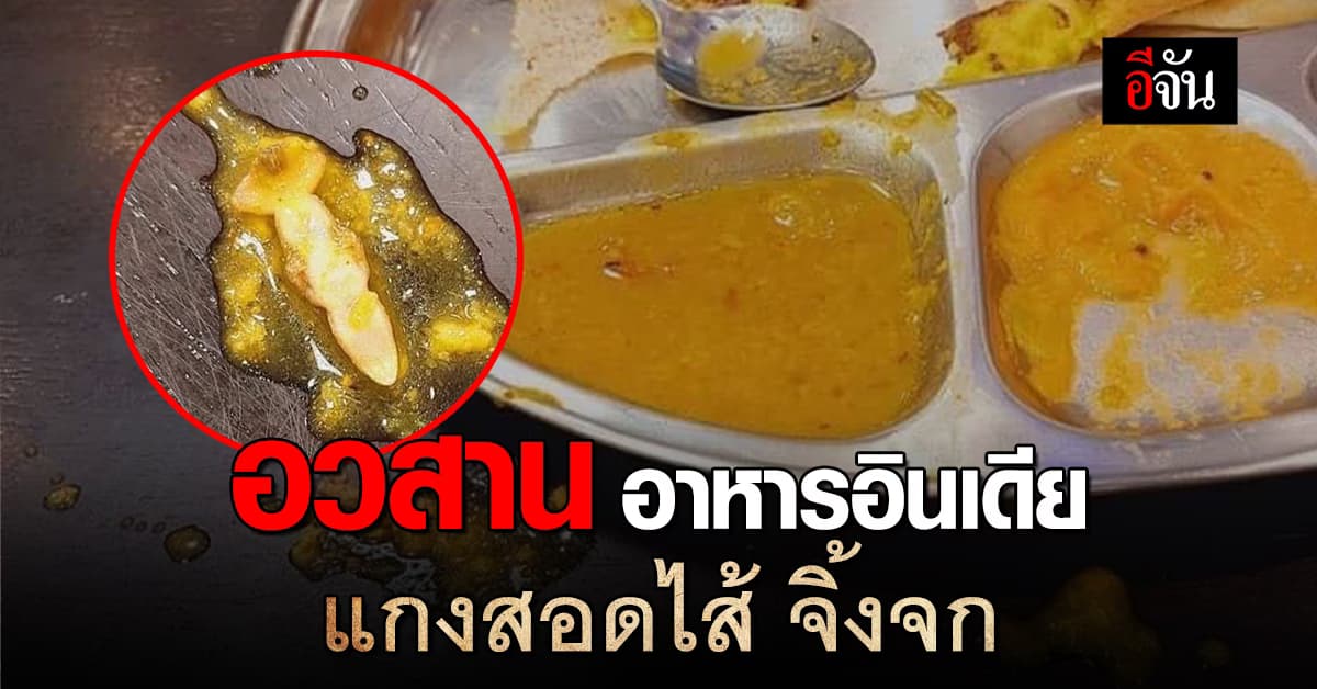 สาวดวงซวย กินแกงอินเดีย แต่กลับเจอ จิ้งจก มาทั้งตัว อ้วกแทบพุ่ง