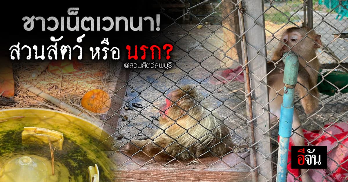 ชาวเน็ตแห่สงสาร สภาพสัตว์ในสวนสัตว์ดัง ไม่สะอาด น้ำสกปรก แถมไร้คนดูแล