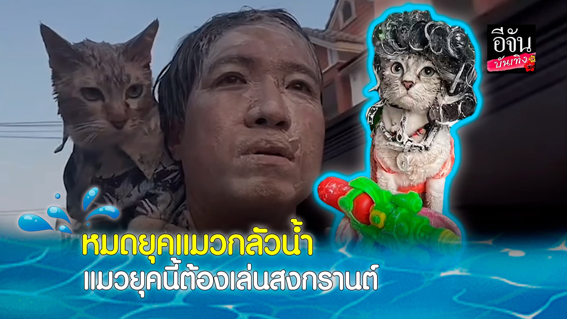 🎬คลิปบันเทิง : น้องเฮงเฮง แมวสายแว๊น ออกไปเล่นน้ำสงกรานต์