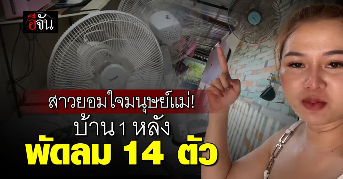 ยอมใจมนุษย์แม่! สาวพารีวิวบ้าน 1 หลัง พัดลม 14 ตัว