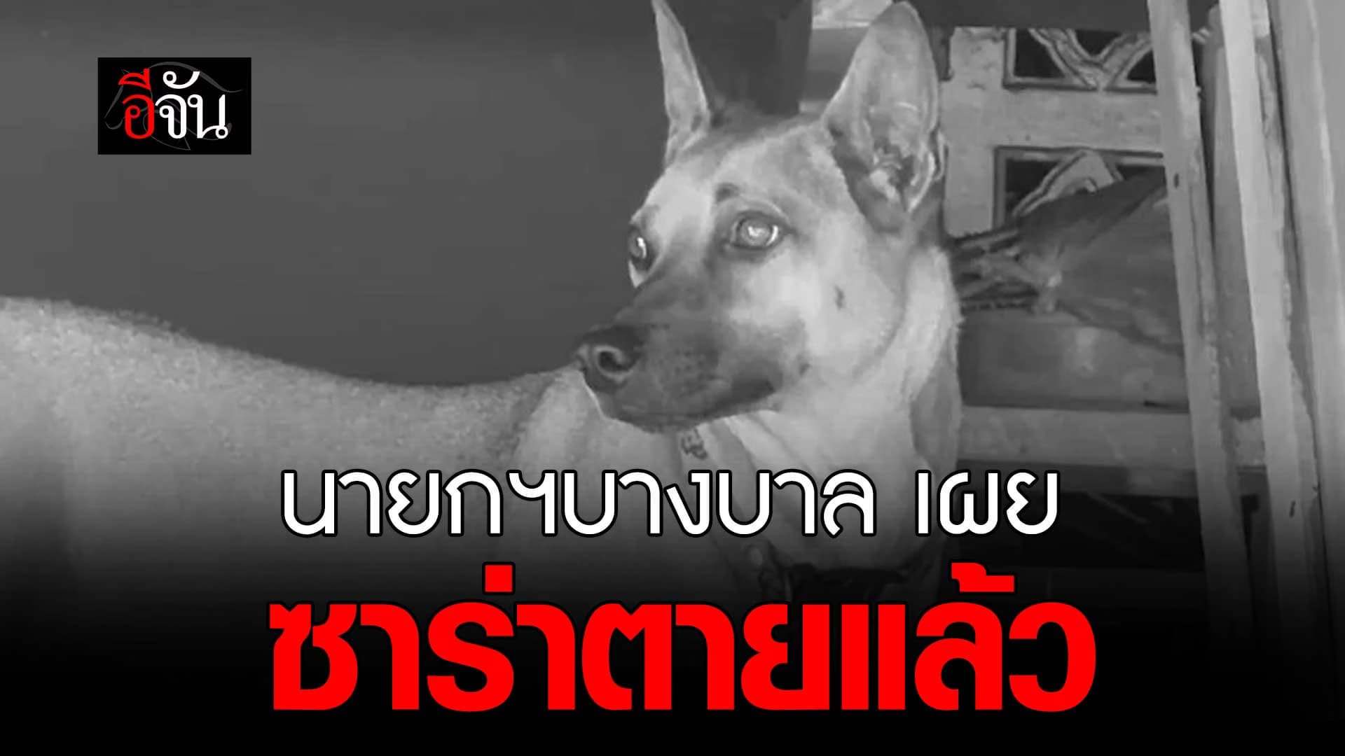 🎬 นายกฯ บางบาล เผย ซาร่า ตายแล้ว