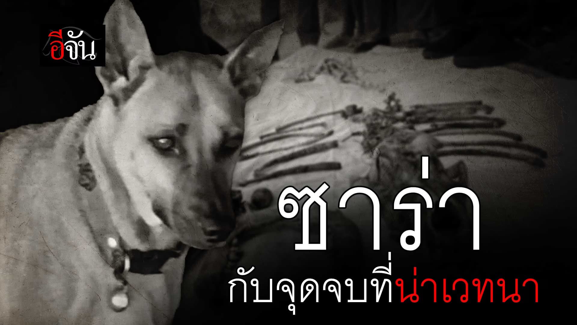 🎬 ซาร่า กับจุดจบที่น่าเวทนา