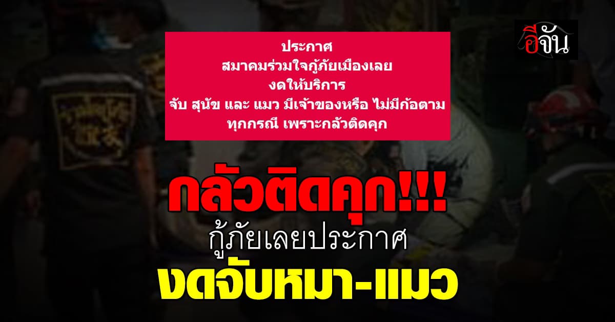 กู้ภัยกลัวติดคุก ประกาศงดจับหมา แมว ปมดราม่าหมาซาร่า  