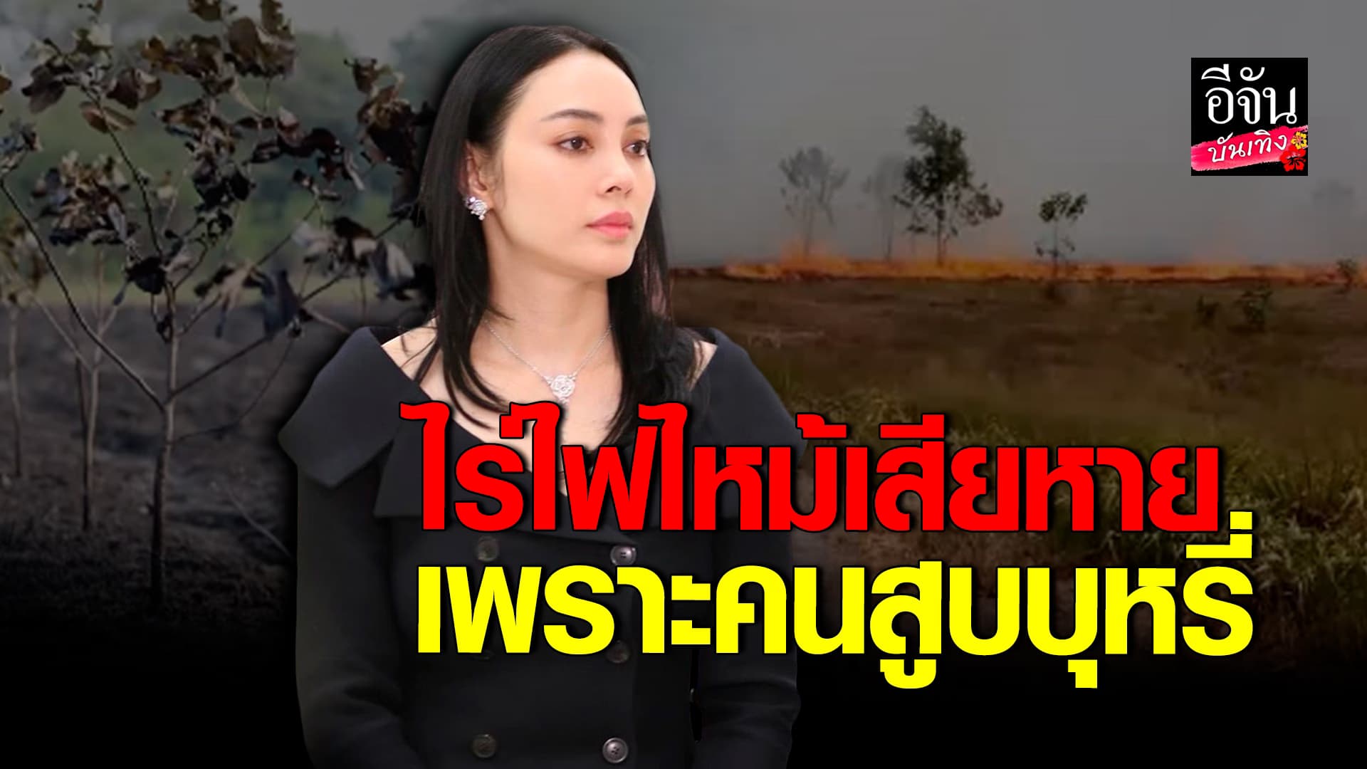 🎬คลิปบันเทิง : ตั๊ก เผยคลิป ไร่เบญจรคกุล ถูกไฟไหม้ เพราะคนสูบบุหรี่