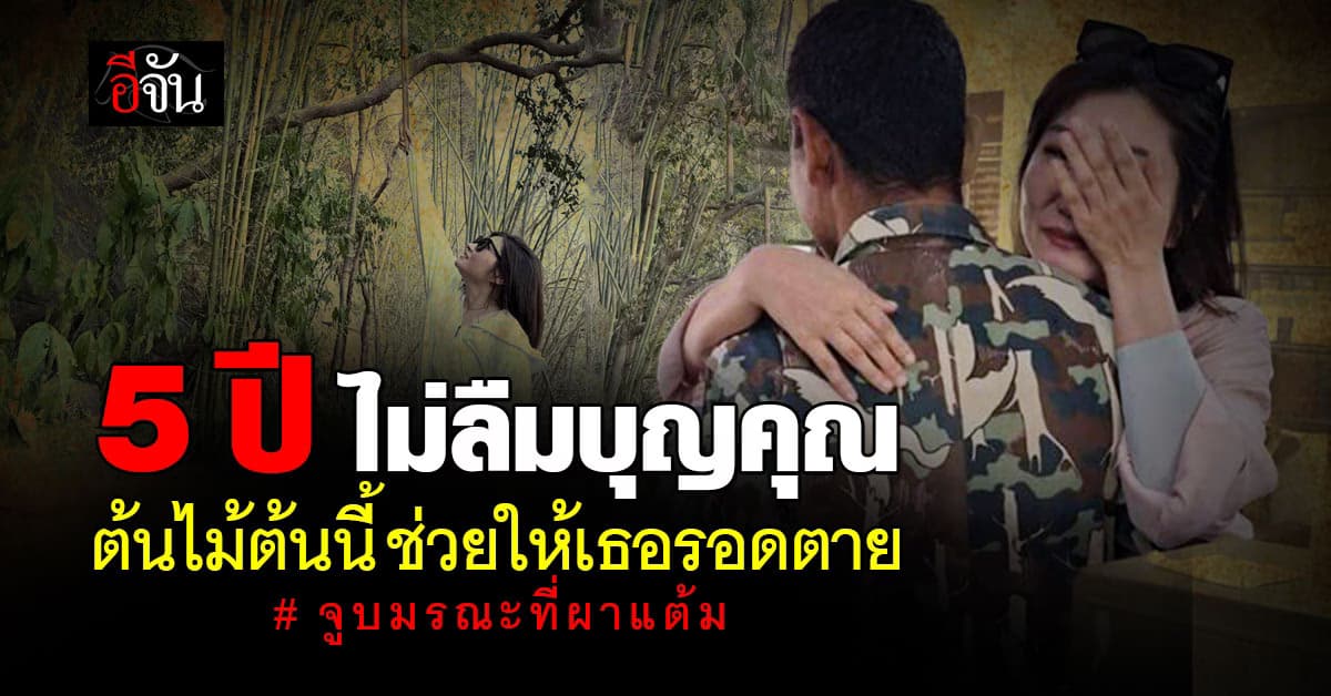 ก้าวข้ามเรื่องร้าย ย้อนกลับสู่ผาแต้ม หญิงจีน โดนสามีผลักตกผาแต้ม หวังเงินประกันชีวิต ขอบคุณเจ้าหน้าที่อุทยาน และ ต้นไม้ ที่ช่วยให้เธอรอดชีวิต