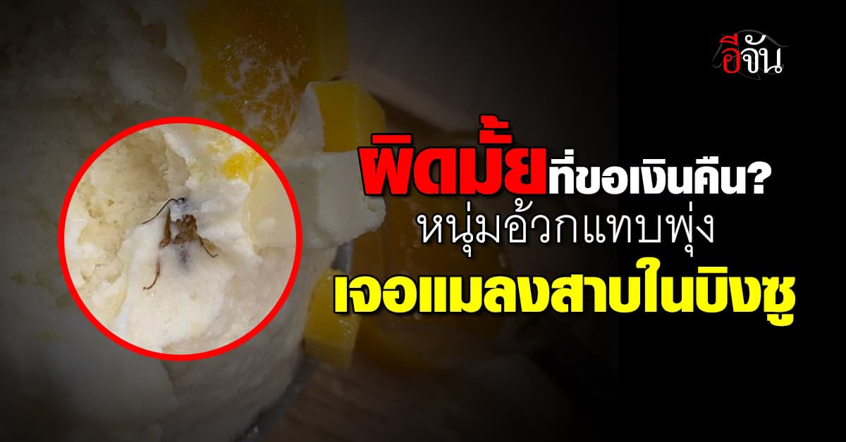 ผิดมั้ยที่ขอเงินคืน? หนุ่มอ้วกแทบพุ่ง เจอแมลงสาบทั้งตัว ในถ้วยบิงซู