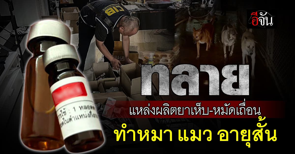 ตร.สอบสวนกลาง ทลายแหล่งผลิตยากำจัดเห็บ หมัดเถื่อน ทำหมา-แมวอายุสั้น