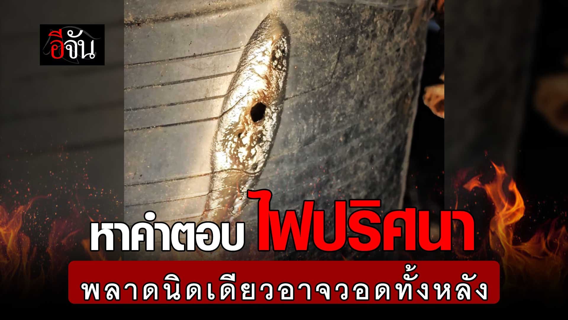 🎬 หาคำตอบ ไฟปริศนา พลาดนิดเดียวอาจวอดทั้งหลัง