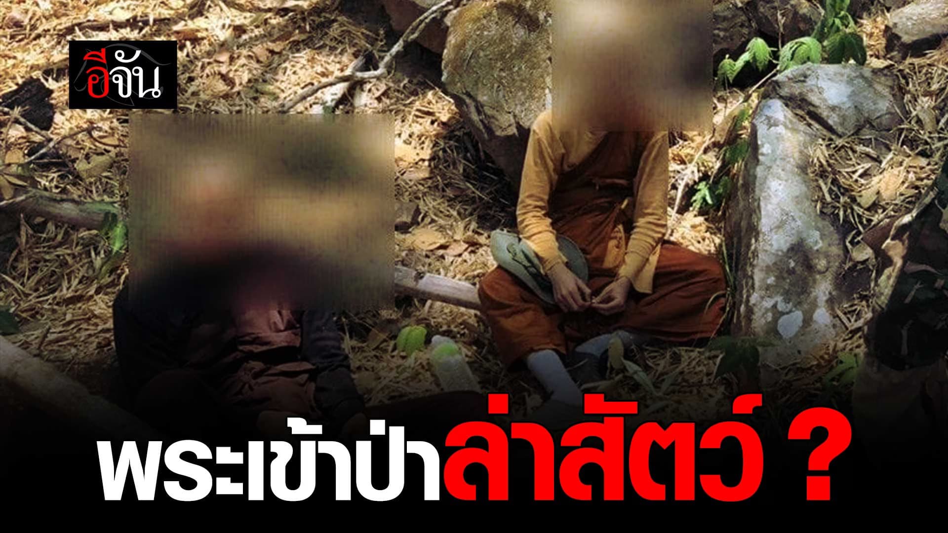 🎬 แก๊งล่าสัตว์ป่า ซัดทอด ผมมากับรองเจ้าคณะจังหวัด