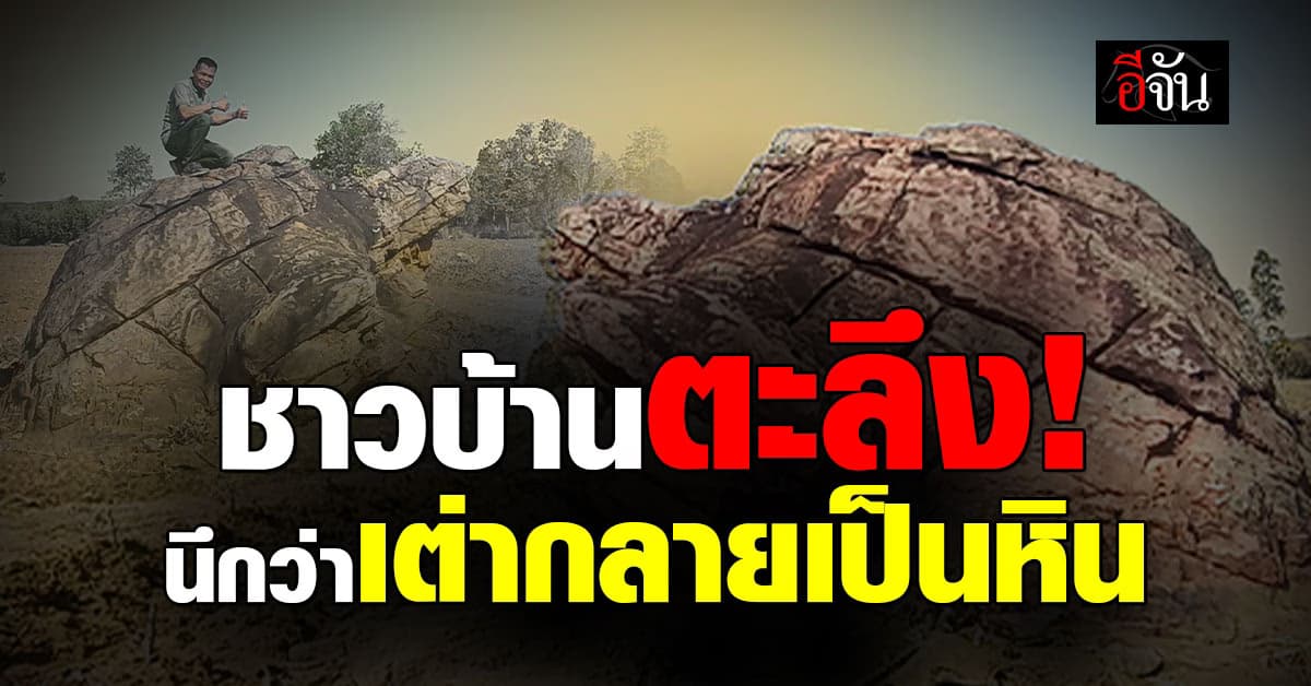 ชาวบ้าน ตะลึง! “หินเต่ายักษ์” โผล่กลางไร่มัน เป๊ะจนนึกว่าเต่ากลายเป็นหิน