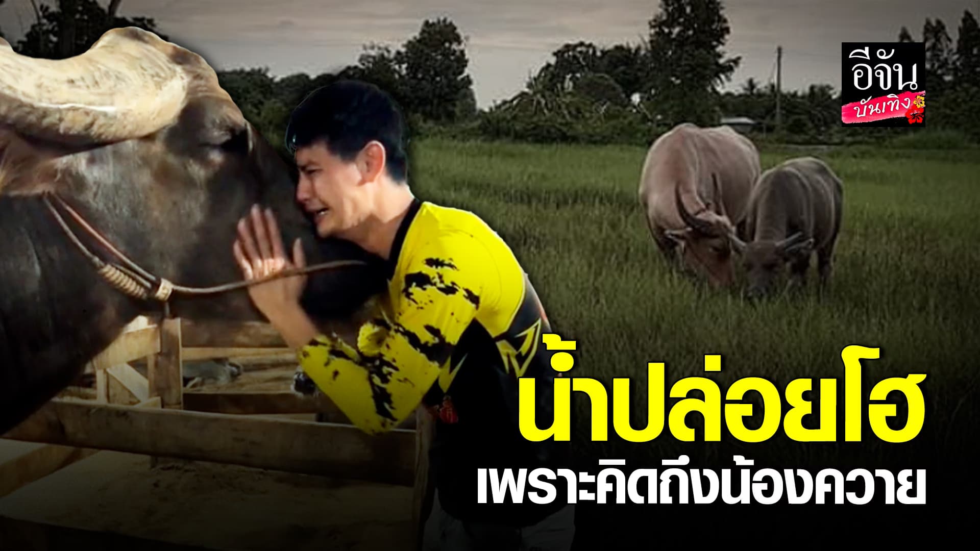 🎬คลิปบันเทิง : น้ำ รพีภัทร ปล่อยโฮ กอด เพราะความคิดถึง