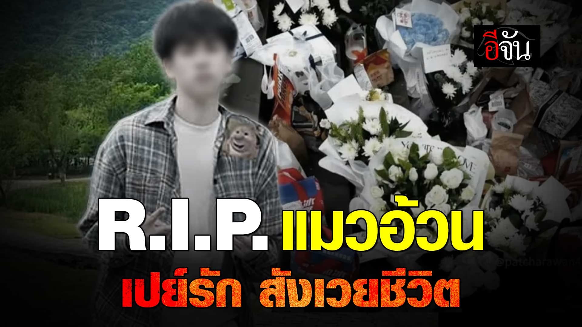 🎬 R.I.P. แมวอ้วน เปย์รัก สังเวยชีวิต
