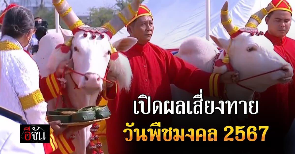 วันพืชมงคล 2567 พระโคเสี่ยงทาย กินหญ้า-น้ำ-เหล้า และหยิบผ้า 5 คืบ