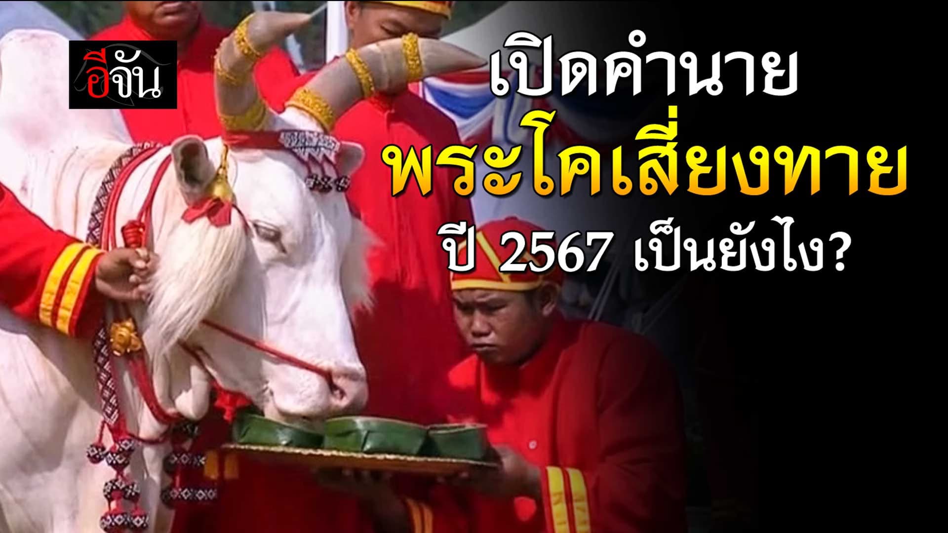 🎬 เปิดคำทำนาย วันพืชมงคล พระโคเสี่ยงทาย ปี 2567