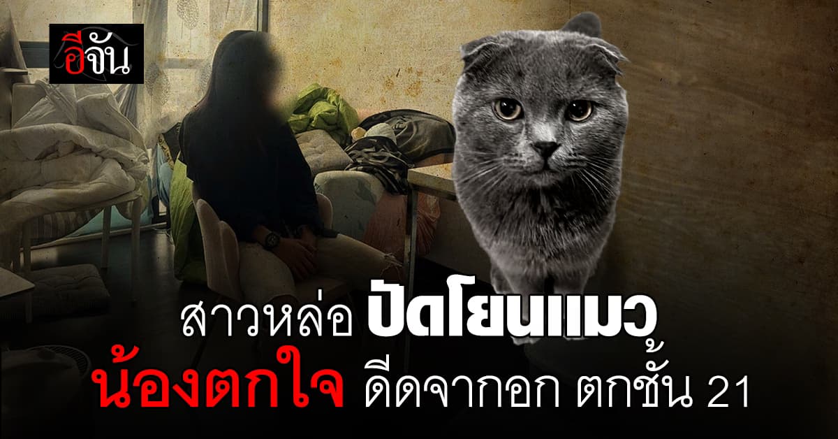 สาวหล่อ ปัดโยนแมว น้องตกใจกระโดดเองลงไปเอง