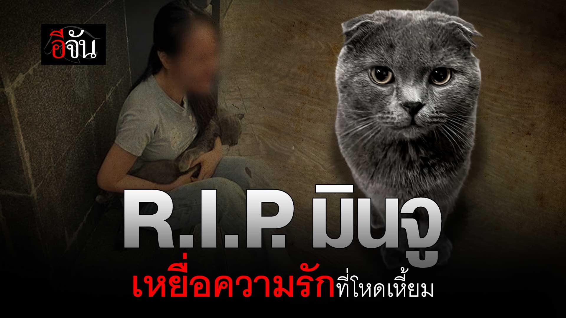 🎬 R.I.P. มินจู เหยื่อ ความรักที่โหดเหี้ยม