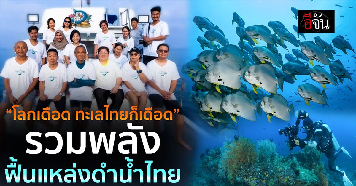 โลกเดือด ทะเลไทยก็เดือด ชวนมารวมพลังฟื้นแหล่งดำน้ำไทยให้กลับมาสวยงาม