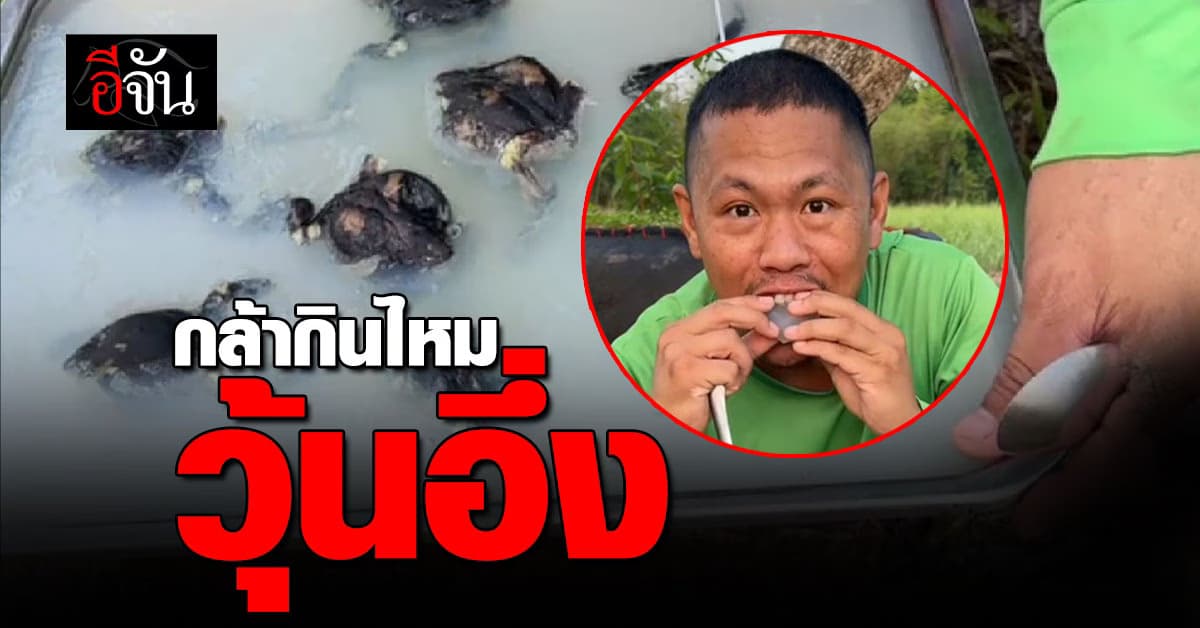 เปิบพิสดาร! ติ๊กต็อกเกอร์ท้าลองเมนูใหม่ “วุ้นอึ่งอ่าง” รสชาติเกินบรรยาย