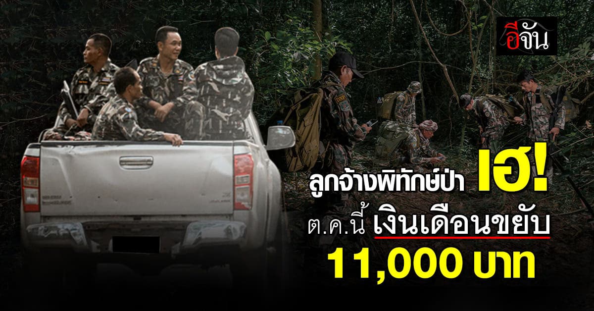 ลูกจ้างผู้พิทักษ์ป่า เฮ! ตุลาคมนี้ เงินเดือนขยับขึ้นพร้อมกันทั่วประเทศ