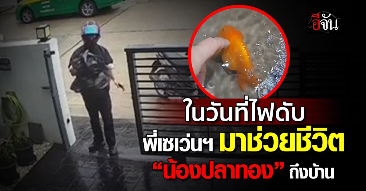 เป็นทุกอย่างให้เธอแล้ว! เซเว่นฯ ช่วยน้องปลาทอง ไฟดับ-ขาดออกซิเจน 