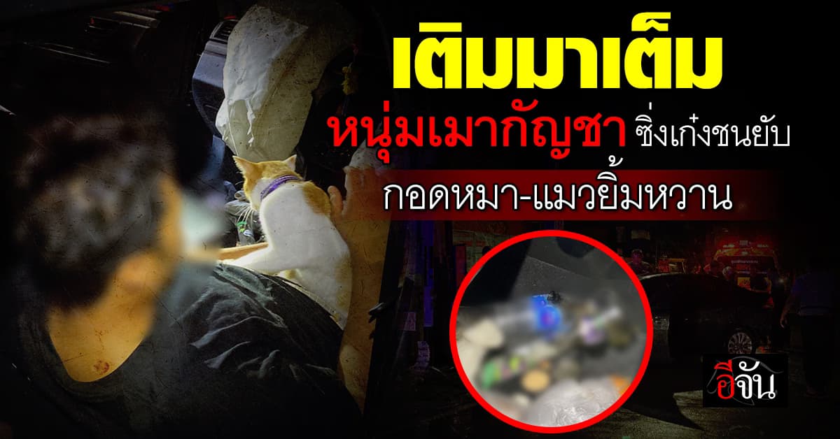 หนุ่มฮ่องกงเมากัญชาหนัก ซิ่งเก๋งชนเสาไฟ นอนกอดแมวยิ้มหวาน