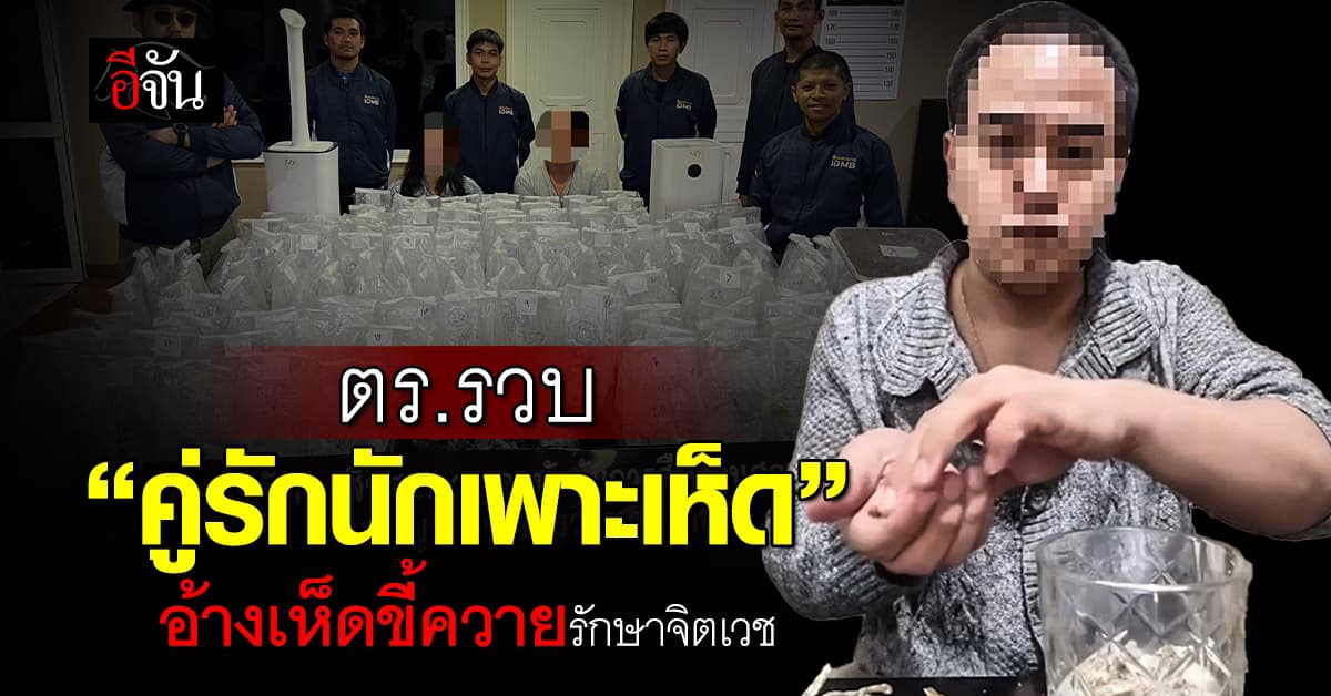 ตร.รวบ “คู่รักนักเพาะเห็ด” สอนกิน-ขายออนไลน์ อ้างเห็ดขี้ควายรักษาจิตเวช