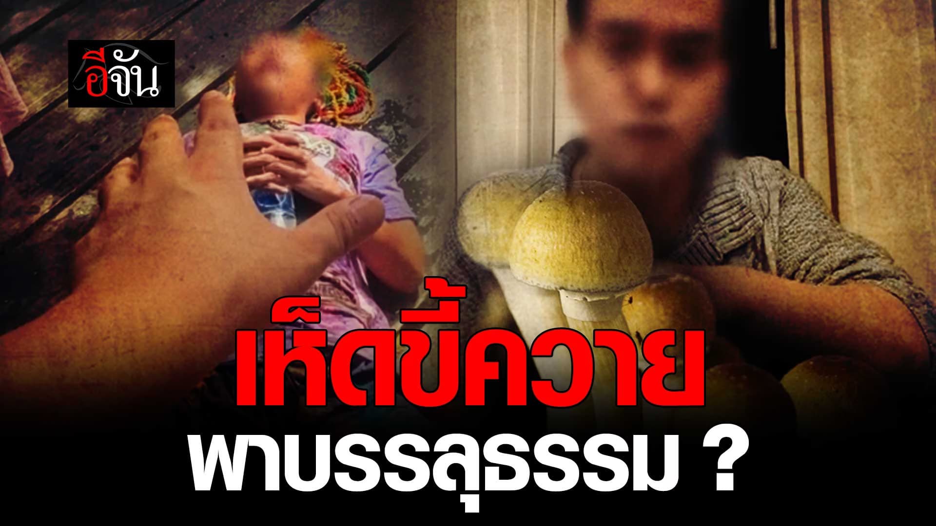 🎬 คู่รักนักเพาะ เห็ดขี้ควาย เปิดคอร์สบรรลุนิพพาน อ้างเป็น พระศรีอริยเมตไตรย