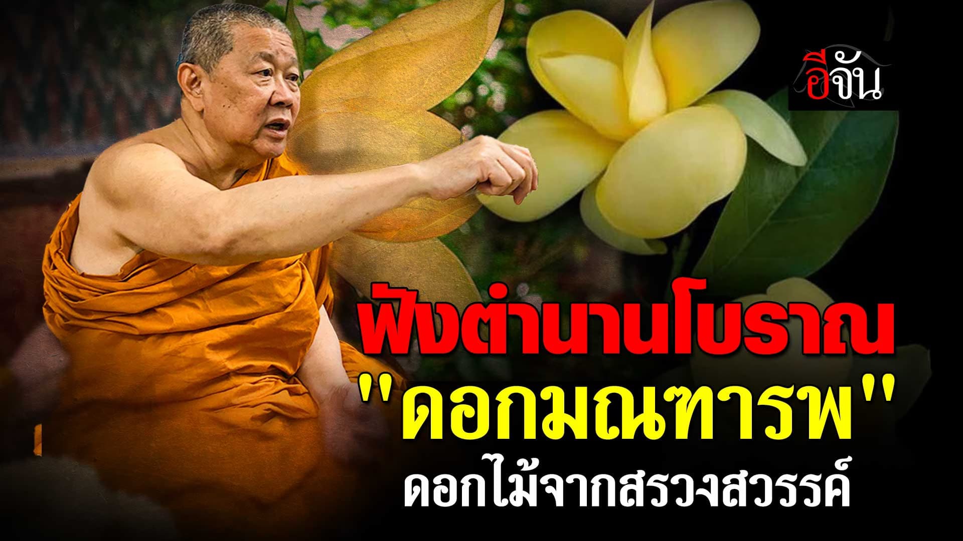 🎬 สมเด็จธงชัย วัดไตรมิตร เล่าตำนาน “ดอกมณฑารพ” ดอกไม้จากสรวงสวรรค์