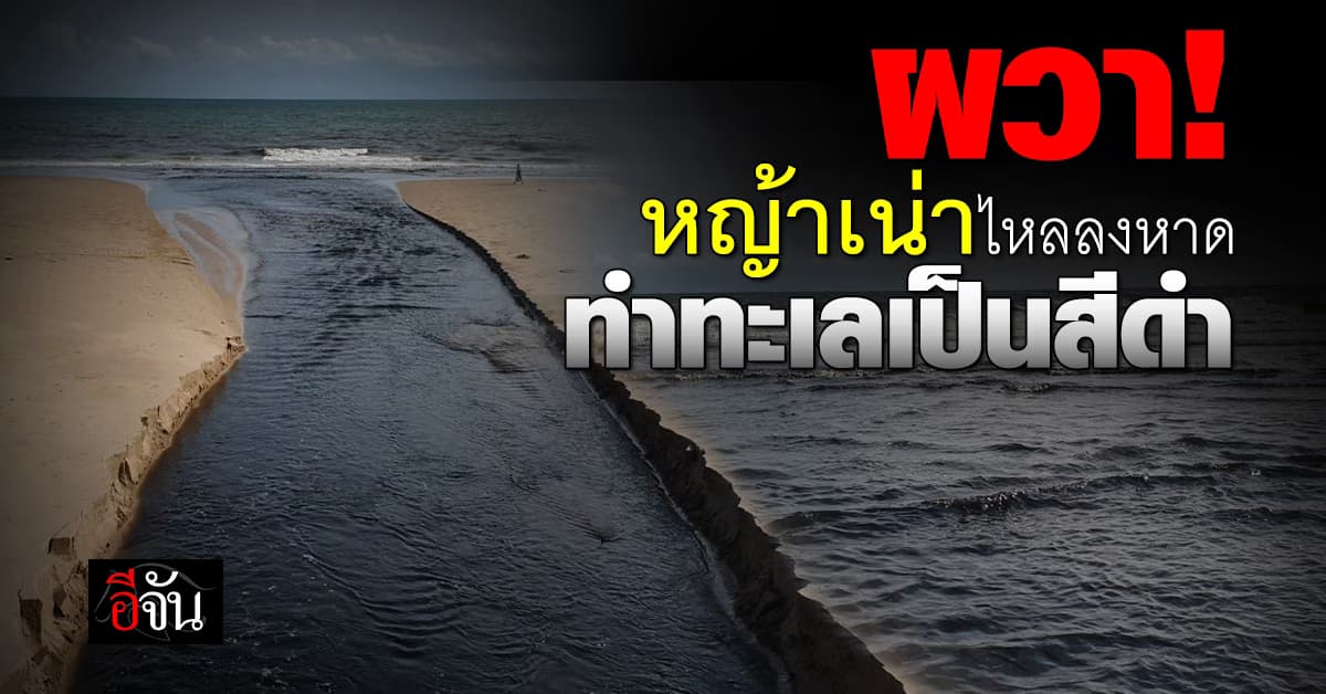 ผวา! หญ้าเน่าไหลลงหาด ทำทะเลเป็นสีดำ นักท่องเที่ยวหวั่นอันตราย