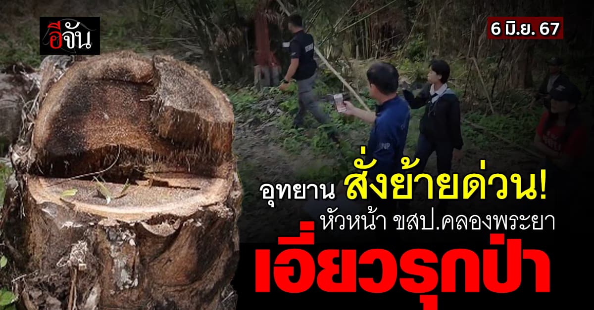 สั่งย้ายแล้ว! หัวหน้า ขสป.คลองพระยา เอี่ยวบุกรุกที่ป่า