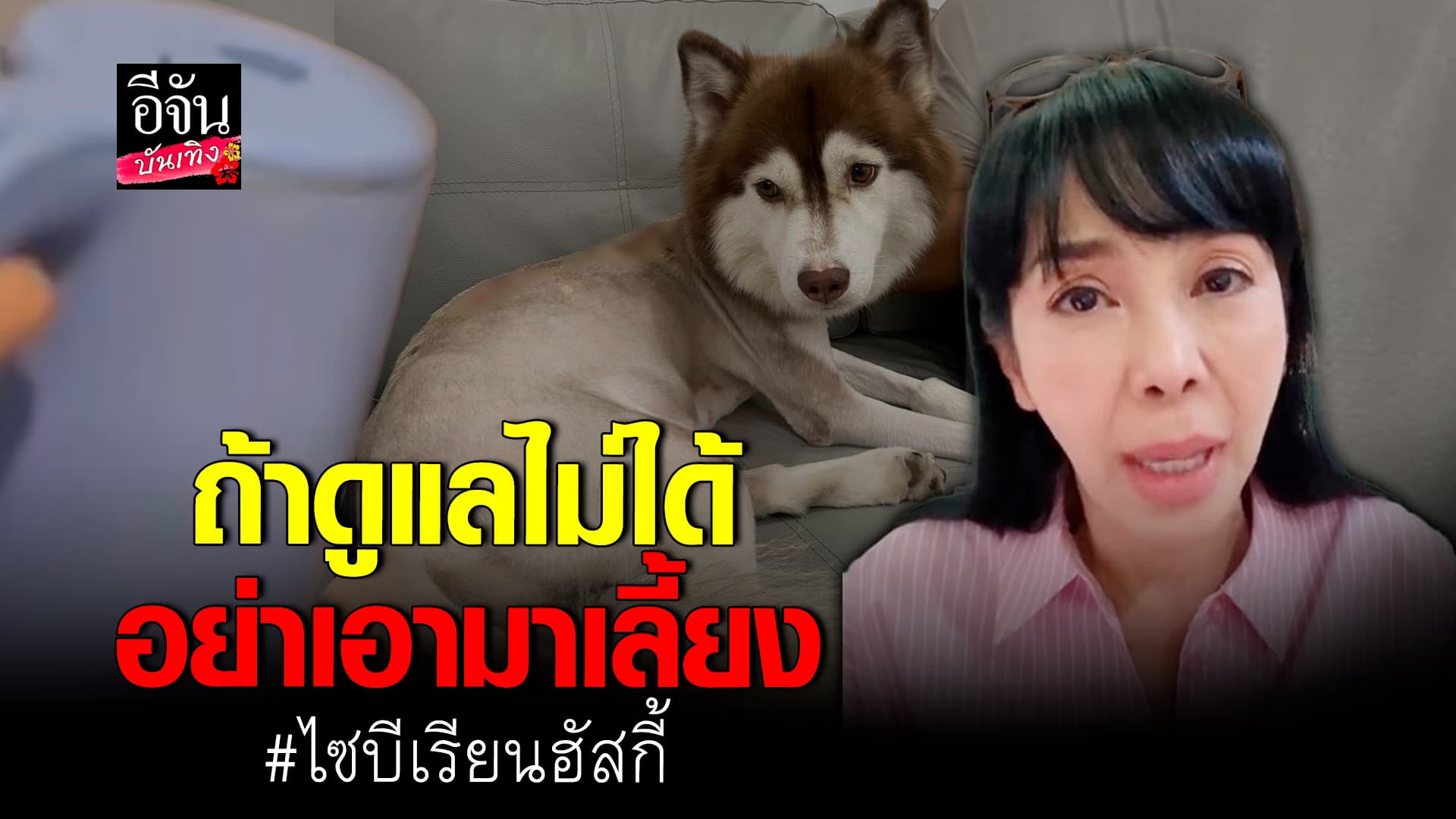 🎬คลิปบันเทิง : ตั๊ก น้ำตาคลอ พูดในฐานะคนเคยเลี้ยงหมา ไซบีเรียน