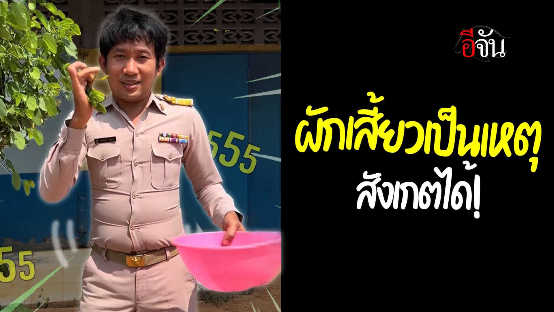 🎬 ผักเสี้ยว เป็นเหตุ สังเกตได้!