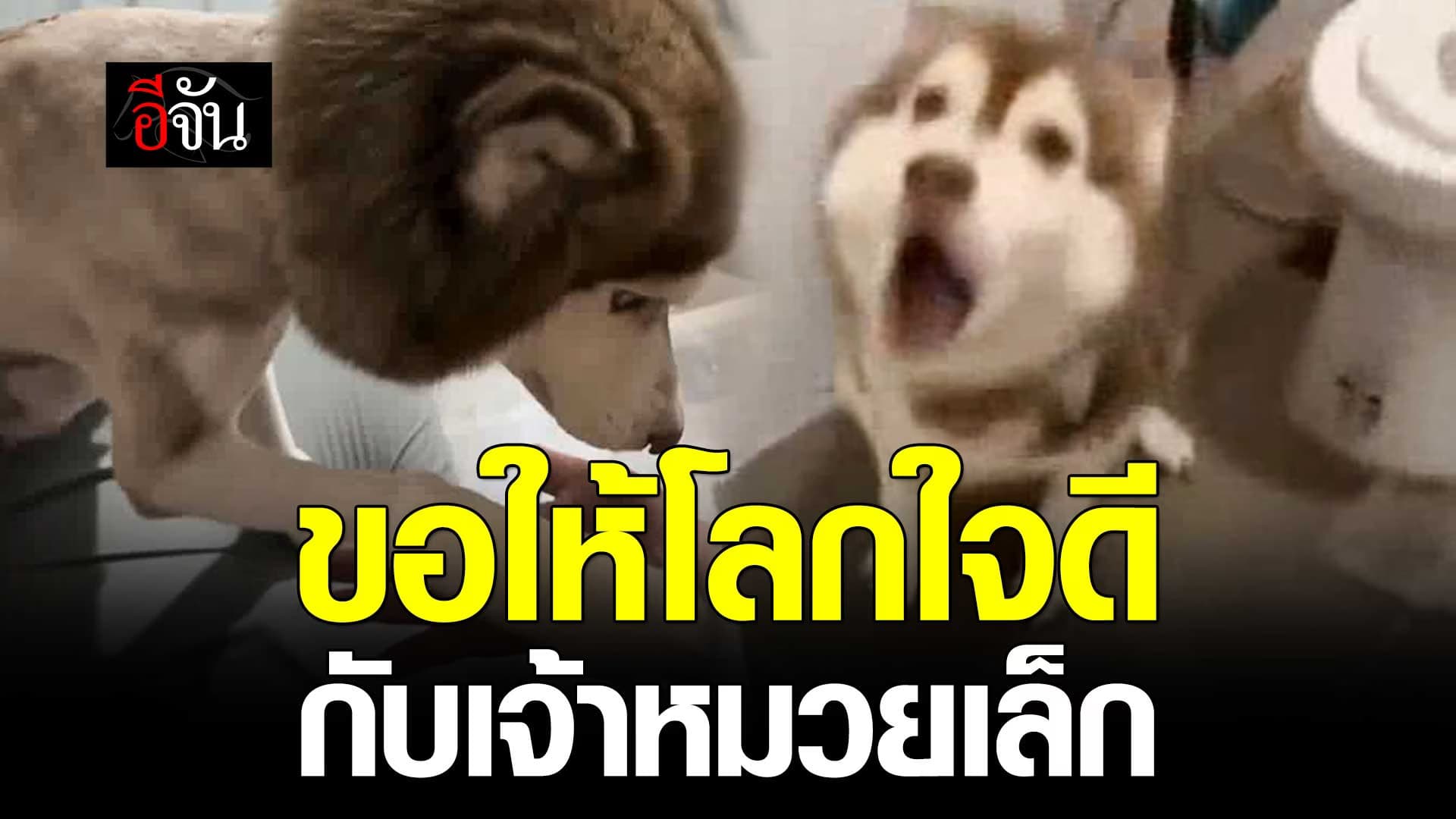 🎬 ชะตาชีวิต ที่แสนเศร้า หมวยเล็ก ไซบีเรียน สู่ชีวิตใหม่