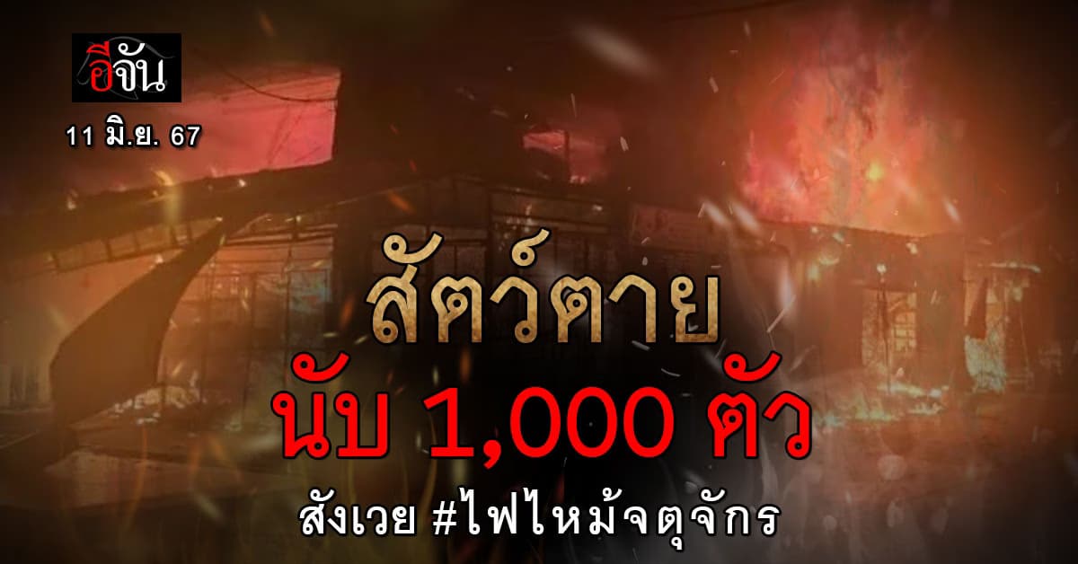 สลด! ไฟไหม้จตุจักร สัตว์ตายนับ 1,000 ตัว พนักงานเล่านาทีหนีตาย