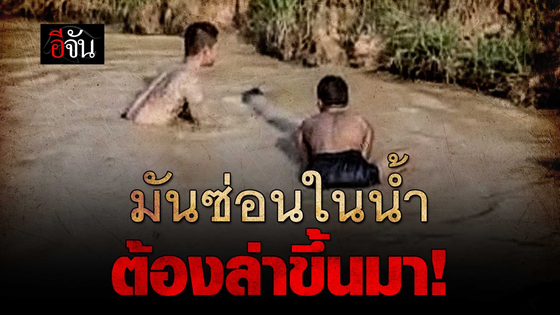 🎬 พญาเสือ แกะรอยล่า ยึดไม้พะยูงท่อนและแปรรูป จำนวน 117 ท่อน