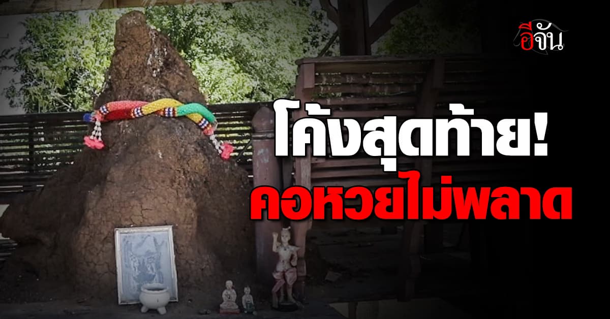 ส่องเลขเด็ดจอมปลวก คล้ายฤาษี ชาวอ่างทองบอกได้โชคมาแล้วหลายครั้ง